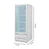Vitrina Refrigerante Jlc Vertical 211 Litros 0177