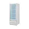Vitrina Refrigerante Jlc Vertical 211 Litros 0177
