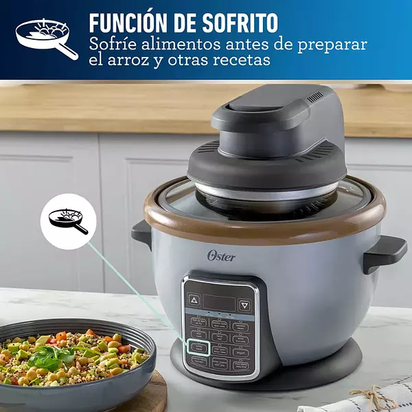 Olla Oster Multifuncional 10 En 1 Con Freidora 2.2 Lt 5763
