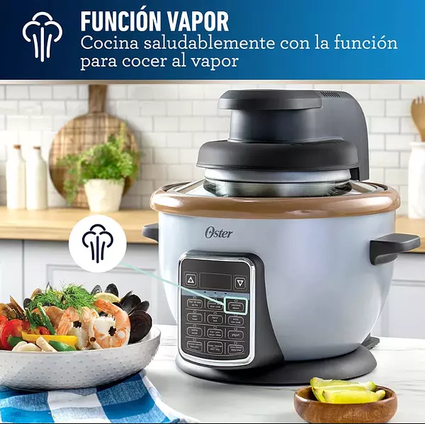 Olla Oster Multifuncional 10 En 1 Con Freidora 2.2 Lt 5763