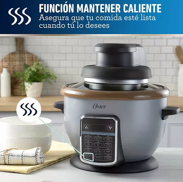 Olla Oster Multifuncional 10 En 1 Con Freidora 2.2 Lt 5763